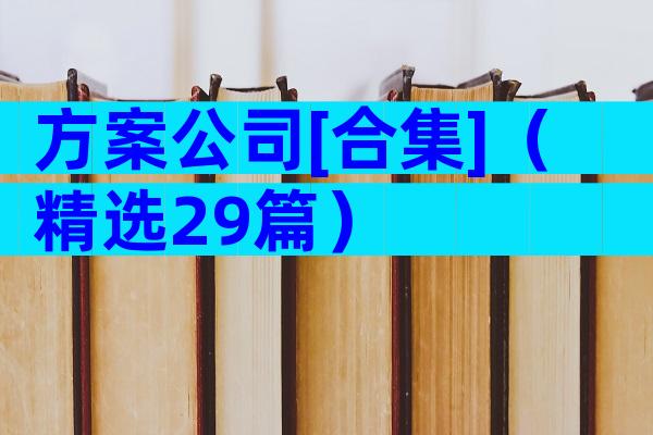 方案公司[合集]（精选29篇）